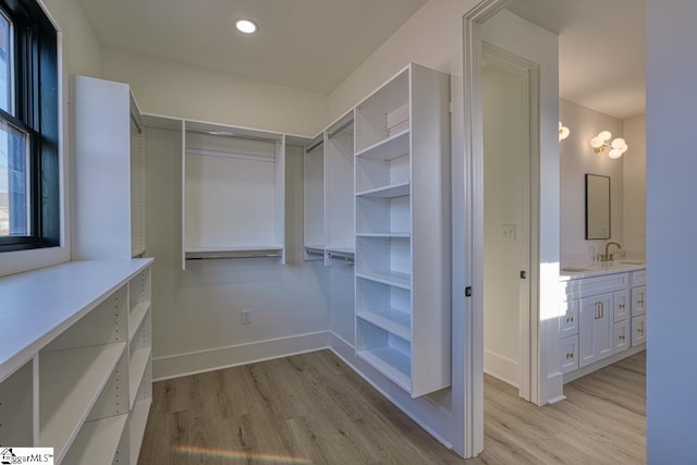 walk in closet with sink and light wood-type flooring