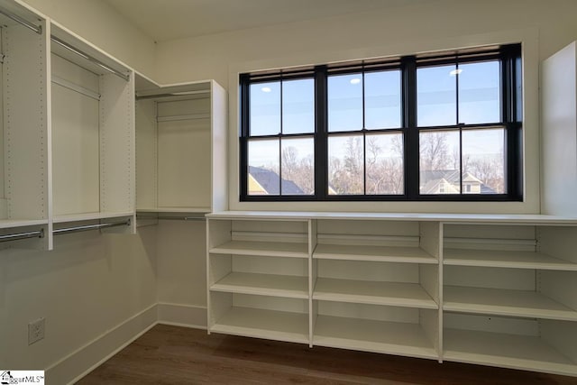 walk in closet with dark hardwood / wood-style floors