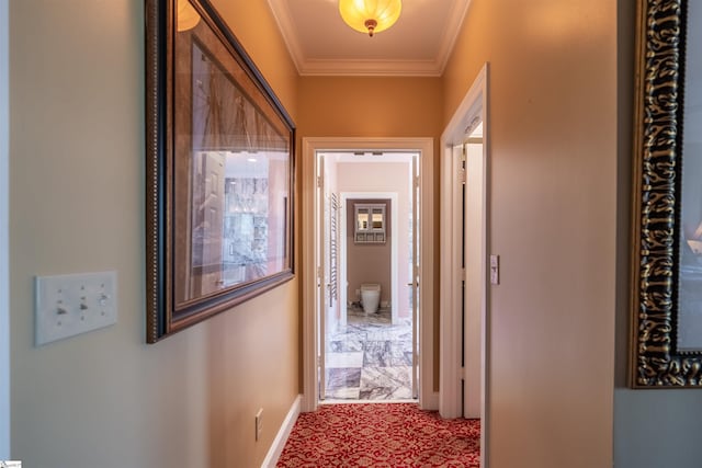 corridor with crown molding and carpet