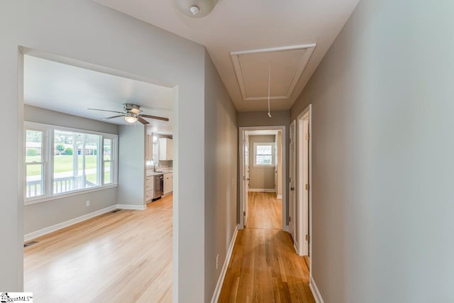 corridor with visible vents, light wood finished floors, attic access, and baseboards