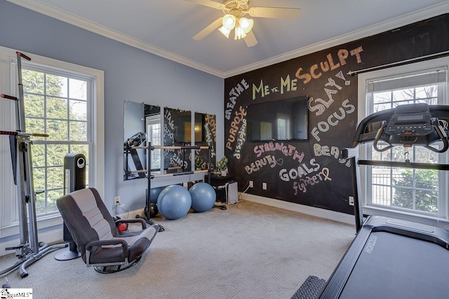 workout area with ornamental molding, carpet floors, a wealth of natural light, and ceiling fan