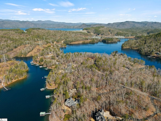 Listing photo 3 for 240 Jocassee Point Rd, Salem SC 29676