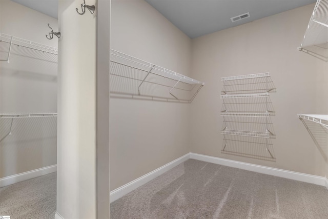 walk in closet featuring carpet floors