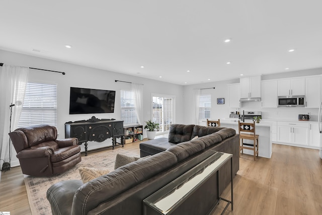 living room with light hardwood / wood-style floors and a wealth of natural light