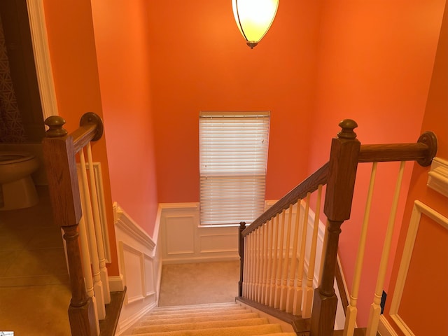 stairway with carpet