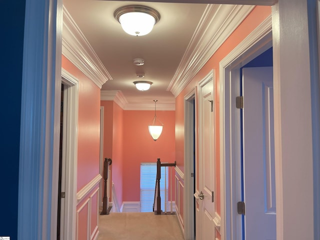 corridor with ornamental molding and carpet flooring