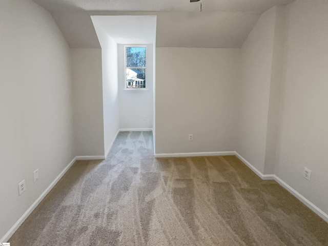 additional living space featuring carpet