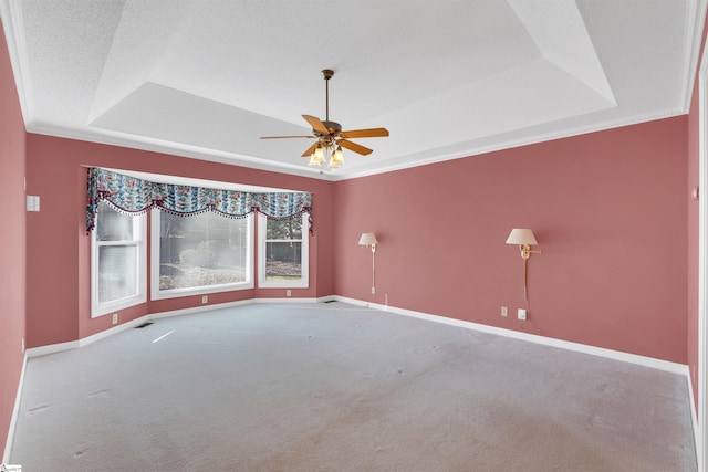 empty room with a raised ceiling and light colored carpet