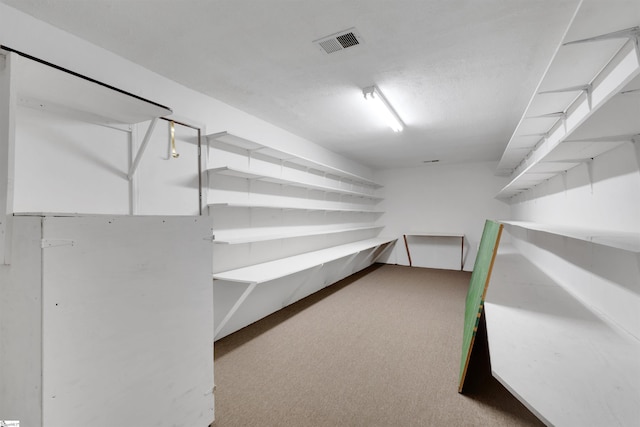 spacious closet with light colored carpet