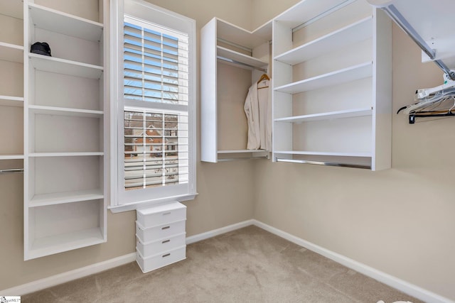 spacious closet with light colored carpet