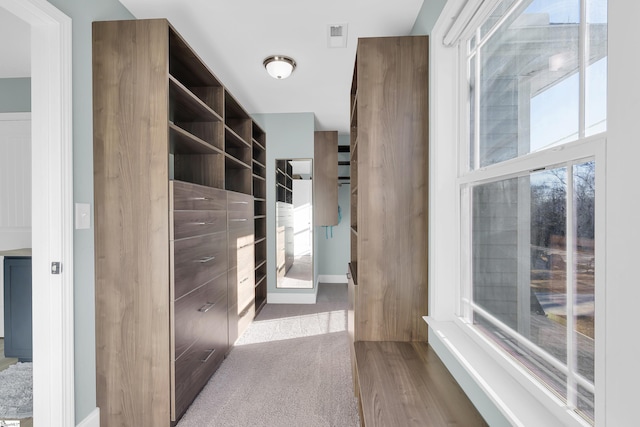 spacious closet featuring light colored carpet