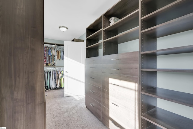 walk in closet featuring light colored carpet