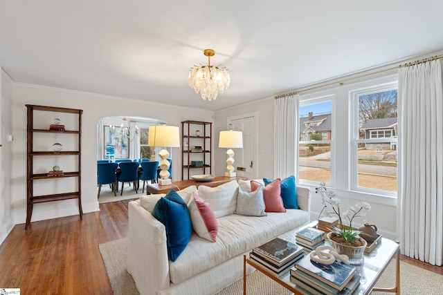 living room featuring an inviting chandelier, wood-type flooring, and crown molding