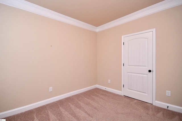 carpeted spare room featuring ornamental molding