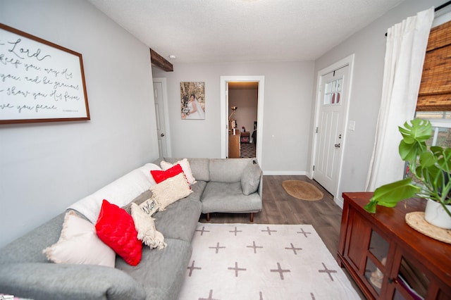 living room featuring hardwood / wood-style floors and a textured ceiling