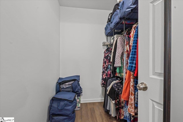 spacious closet with dark hardwood / wood-style floors