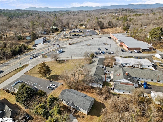 drone / aerial view featuring a mountain view