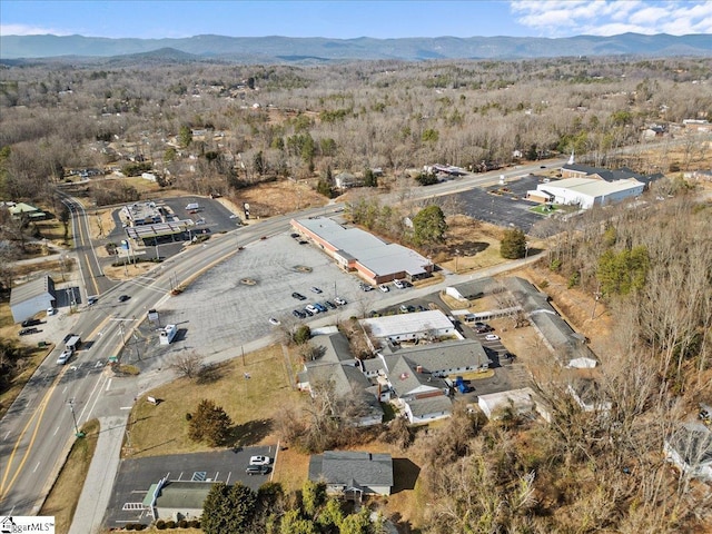 birds eye view of property featuring a mountain view