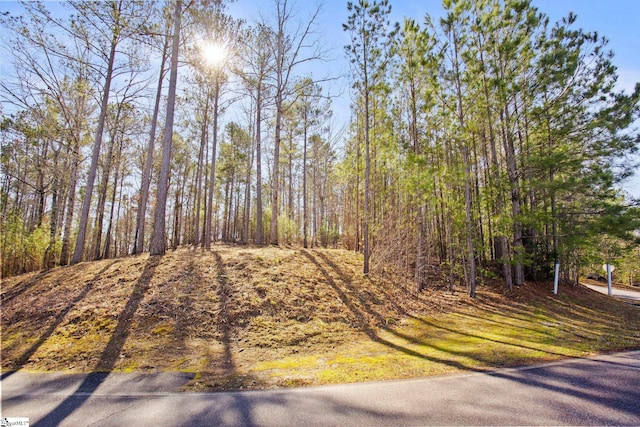 0 Long Cove Trl, Salem SC, 29676 land for sale