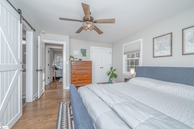 bedroom with a barn door, dark hardwood / wood-style floors, ceiling fan, and a closet