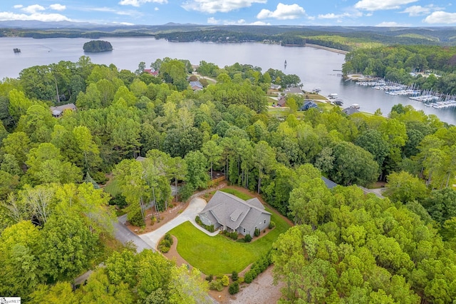 drone / aerial view with a water view