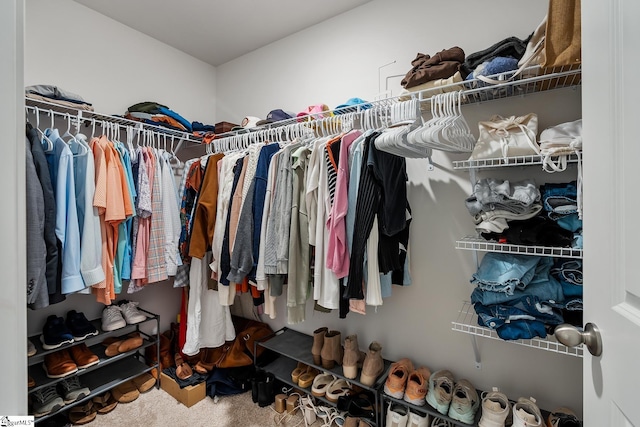 walk in closet featuring carpet flooring