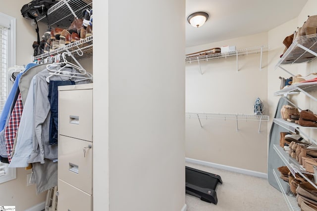 walk in closet featuring carpet floors