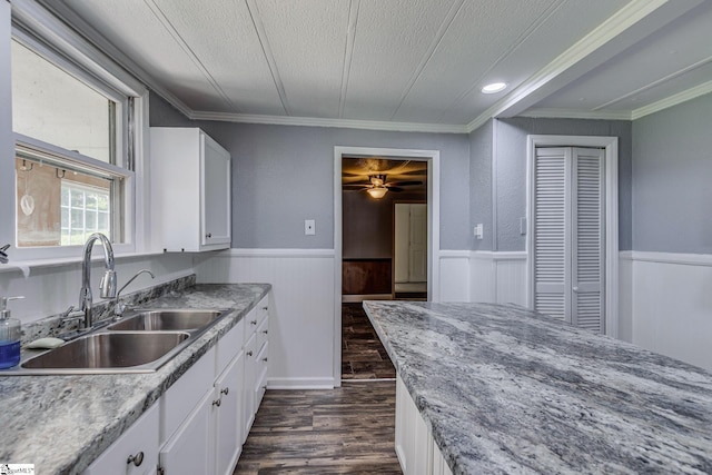 kitchen with sink, dark wood-type flooring, ornamental molding, and white cabinets