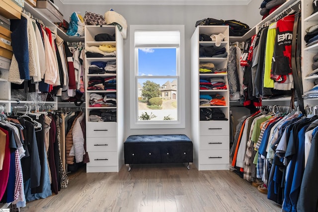 walk in closet with hardwood / wood-style flooring