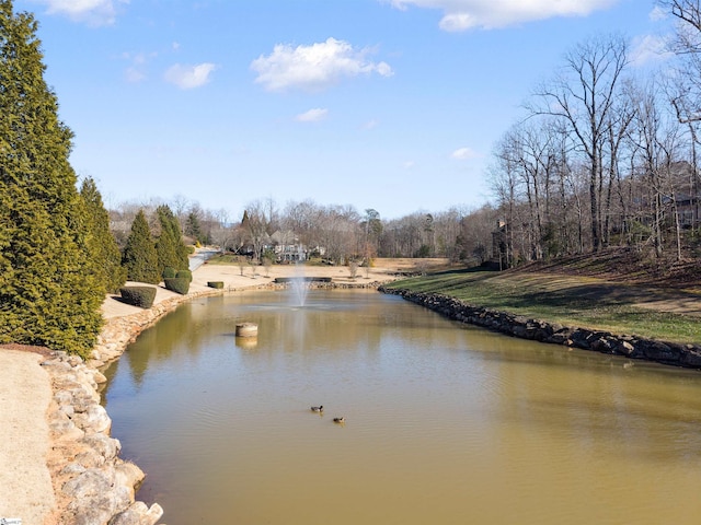 property view of water