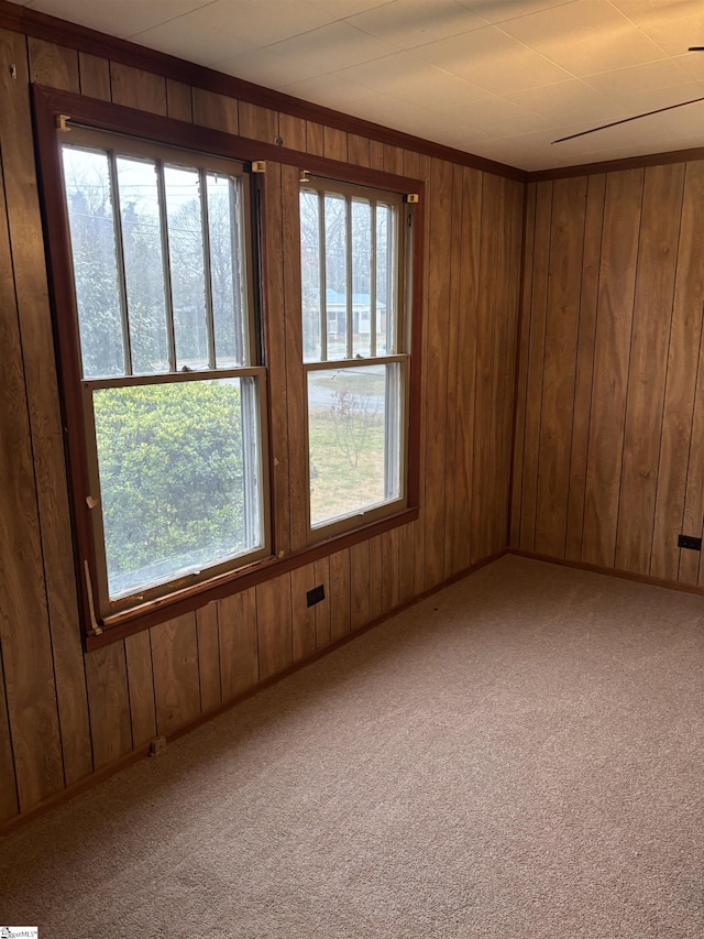 spare room featuring plenty of natural light, light colored carpet, and wooden walls