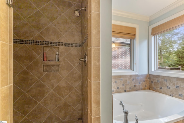 bathroom featuring ornamental molding and separate shower and tub