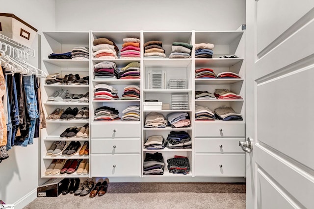 spacious closet with light colored carpet