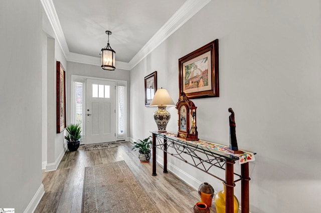 foyer with crown molding and wood-type flooring