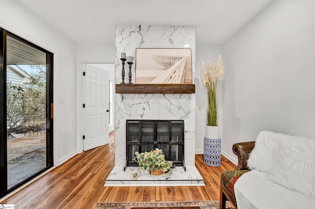 living room featuring a premium fireplace and wood-type flooring