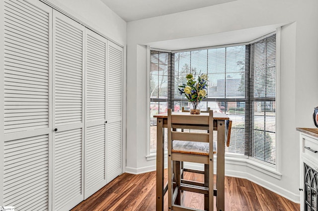 dining room featuring dark wood-type flooring