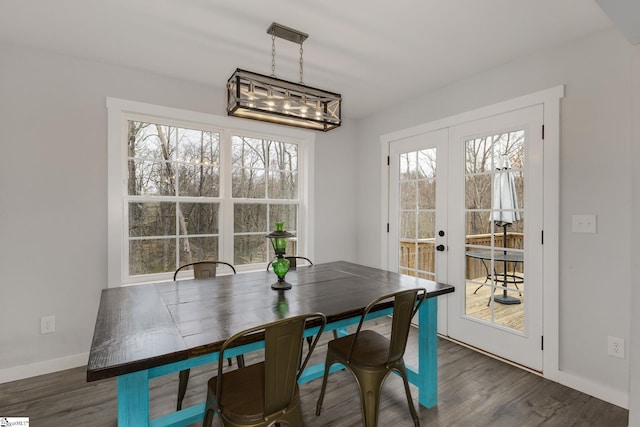 dining room with dark hardwood / wood-style floors, a wealth of natural light, and french doors