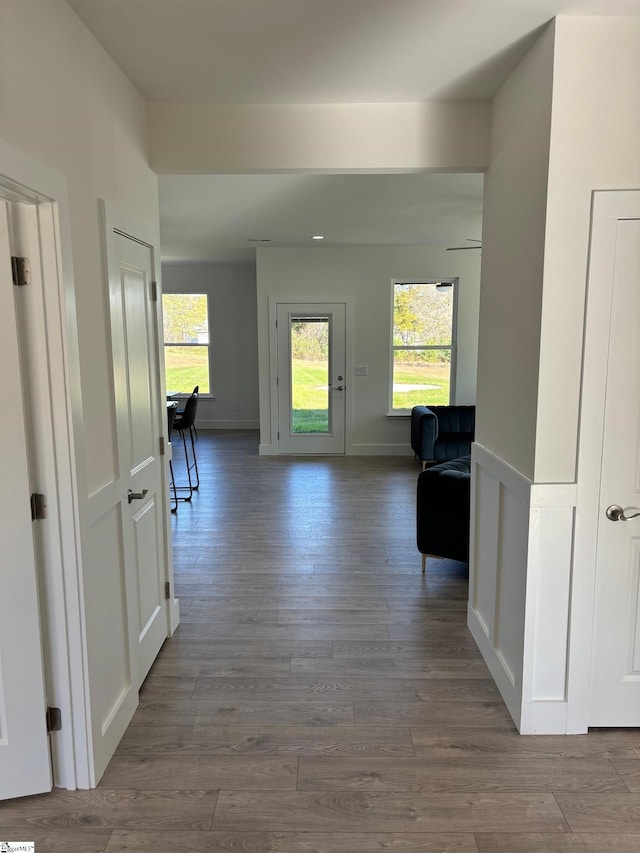 hallway with wood-type flooring