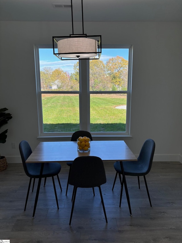 dining room featuring wood-type flooring and plenty of natural light