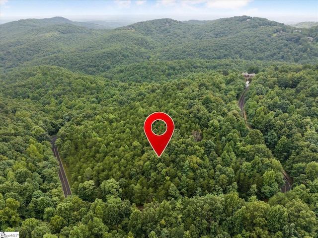 234 Craggy Rock Ln, Landrum SC, 29356 land for sale