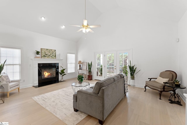 living room with a premium fireplace, plenty of natural light, high vaulted ceiling, and light hardwood / wood-style floors