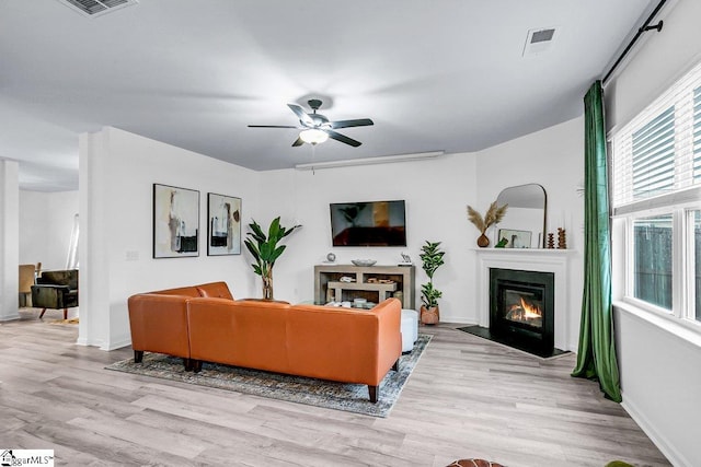 living room with ceiling fan and light wood-type flooring