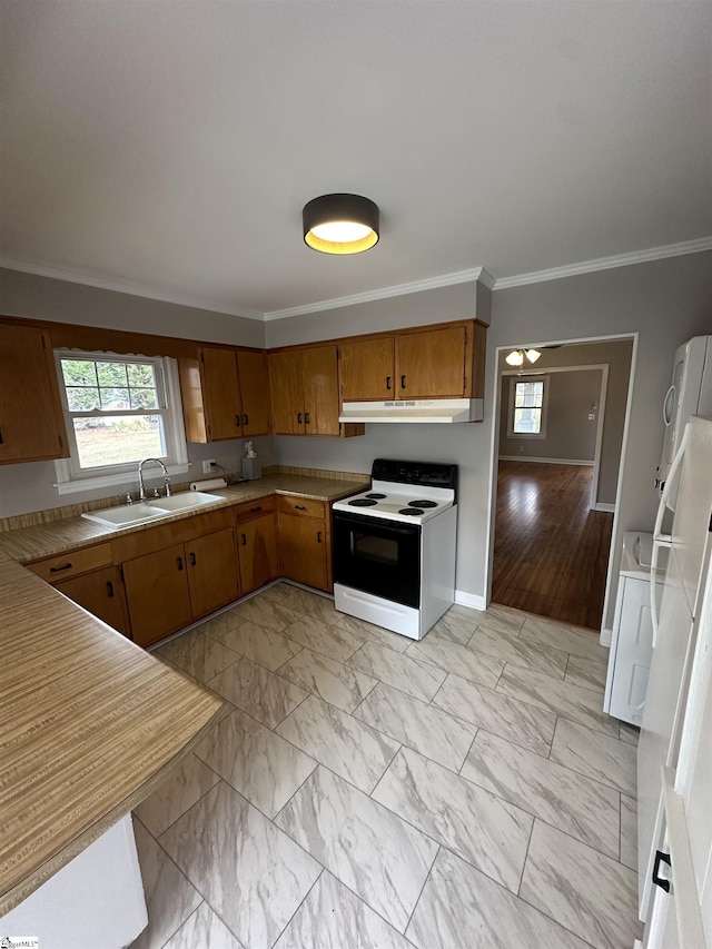 kitchen with ornamental molding, sink, and electric range oven