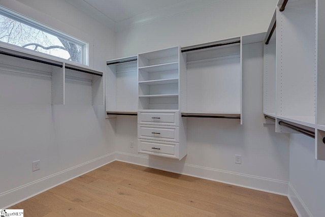 walk in closet featuring light wood-type flooring