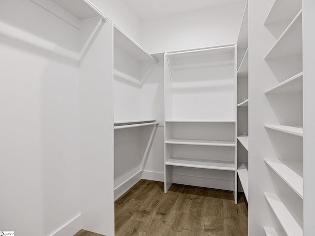 spacious closet with hardwood / wood-style flooring