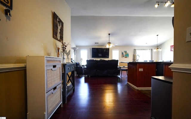 living room featuring dark hardwood / wood-style flooring, sink, and ceiling fan with notable chandelier