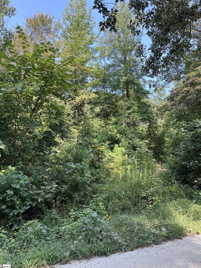0 Riverbend Rd Lot 61, Fair Play, SC 29643