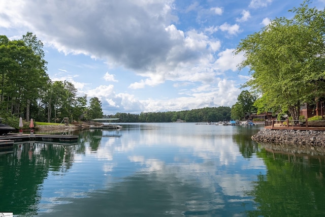 property view of water