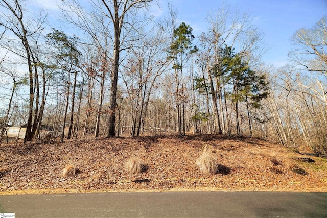 Listing photo 2 for 00 S Shore Dr Lot 27, Fair Play SC 29643