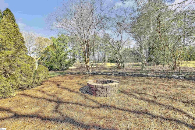 view of yard featuring a fire pit